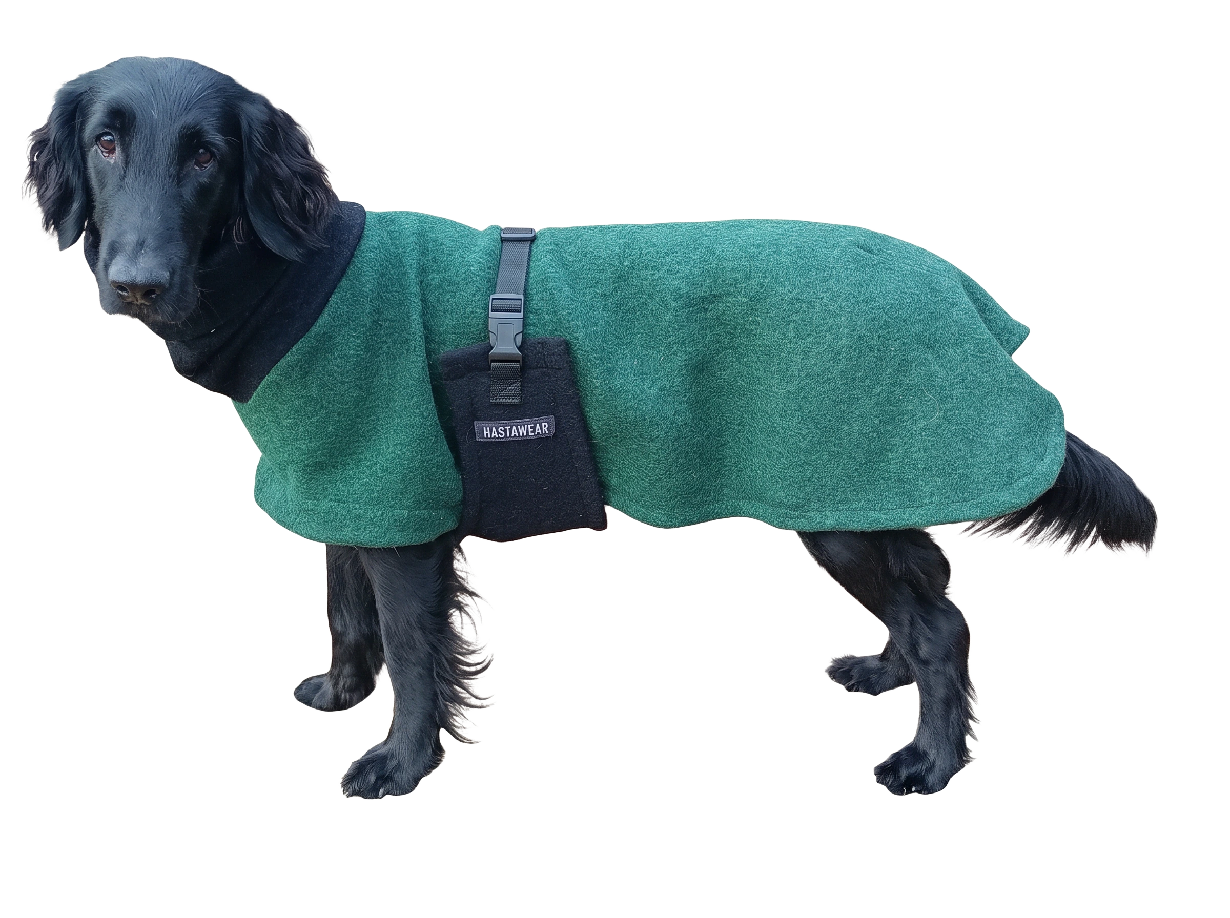 Svart hund i ett handsytt grönt hundtäcke från HASTAWEAR
